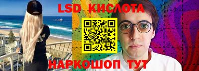 СК Кингисепп