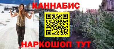 СК Кингисепп