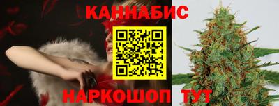 СК Кингисепп