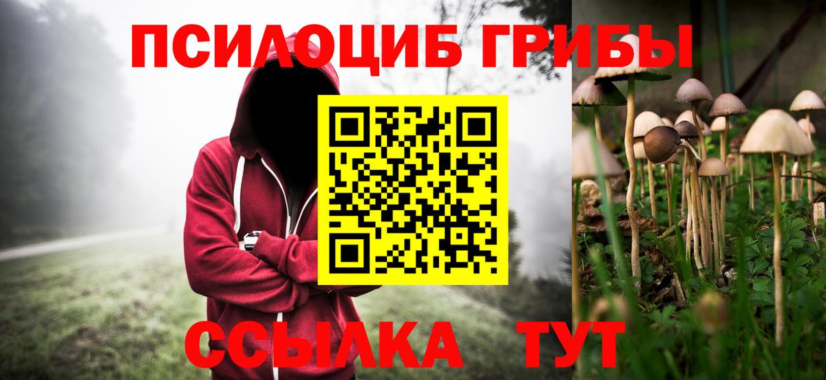 Галлюциногенные грибы Magic Shrooms Кисловодск