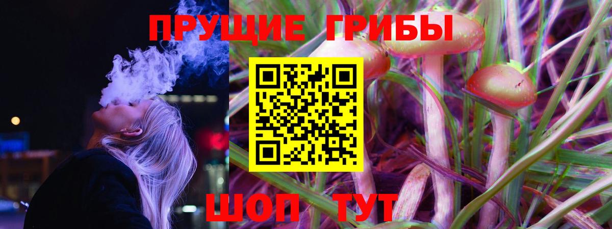 Галлюциногенные грибы Psilocybe  Вход с VPN  Галлюциногенные грибы прущие грибы  Кисловодск 